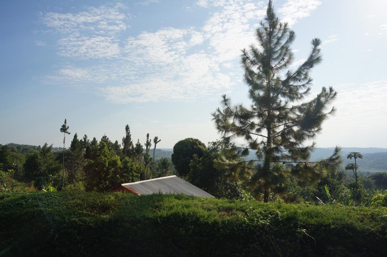 Masaka Backpackers, Tourists Cottage & Campsite Εξωτερικό φωτογραφία
